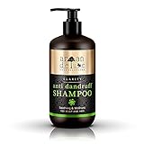 Argan Deluxe Anti-Schuppen Shampoo in Friseur-Qualität 300 ml - Hilfe gegen Schuppen, juckende Kopfhaut und trockene Kopfhaut